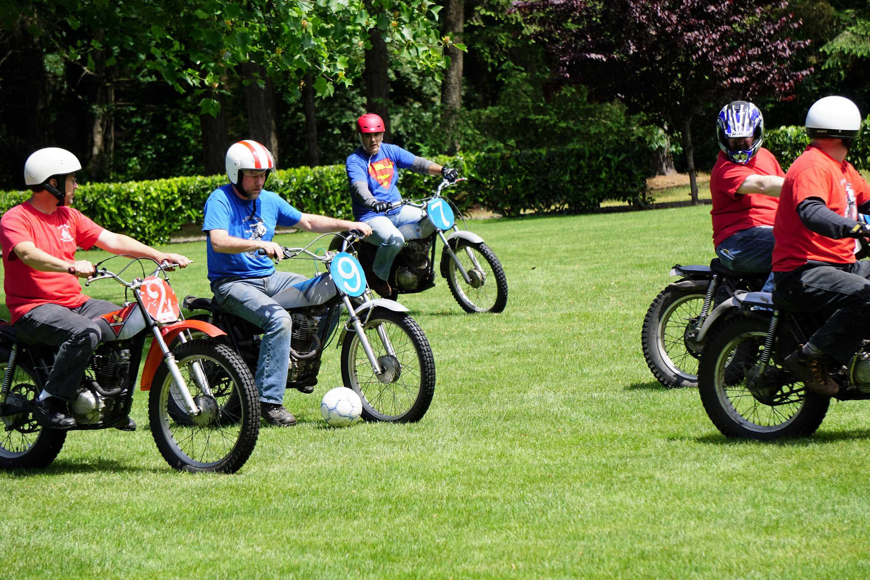 Mobirise Website Builder