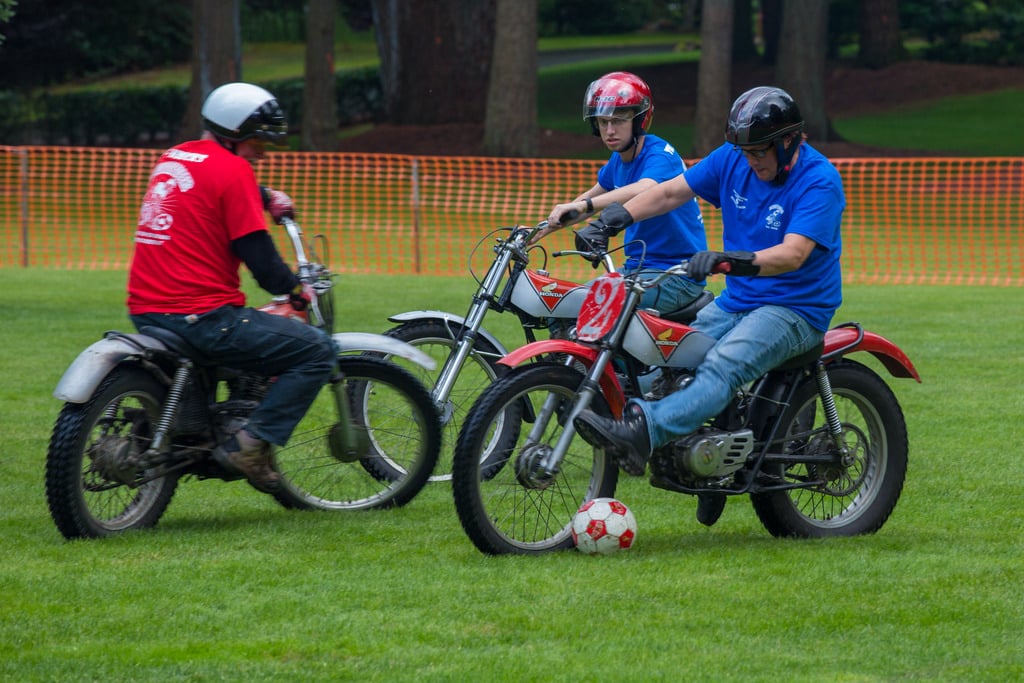 Mobirise Website Builder